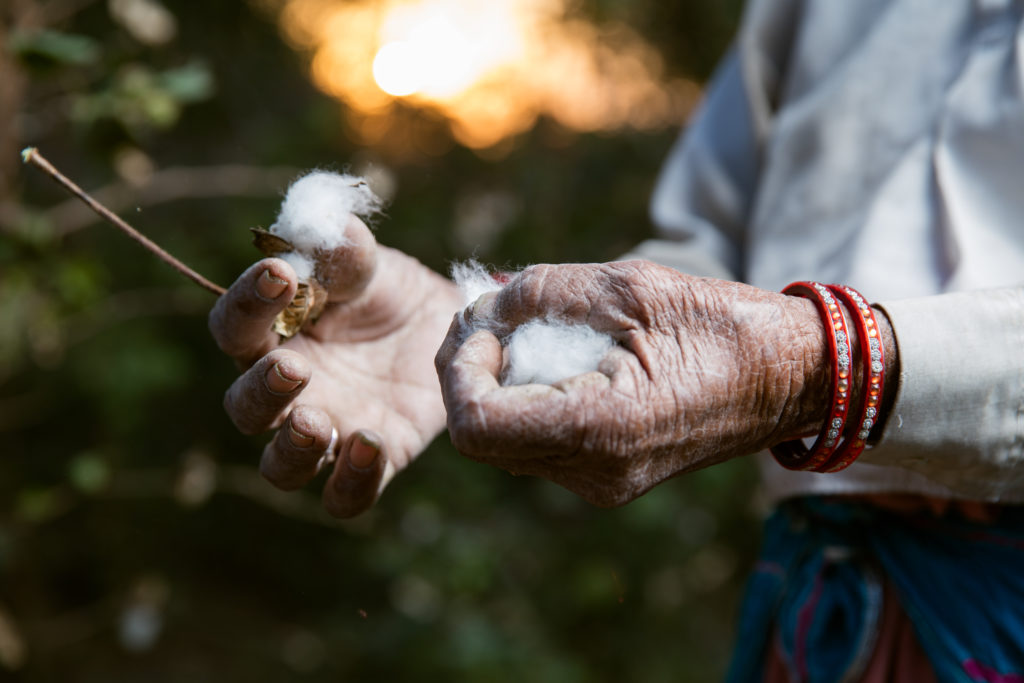 Secteur 6 cotton farm