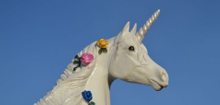 unicorn