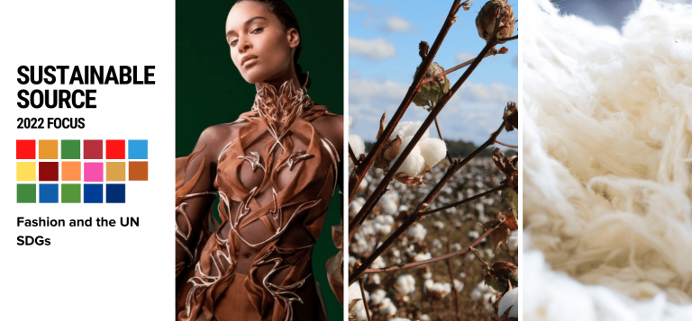 What are the 2022 sustainable goals for fashion?
